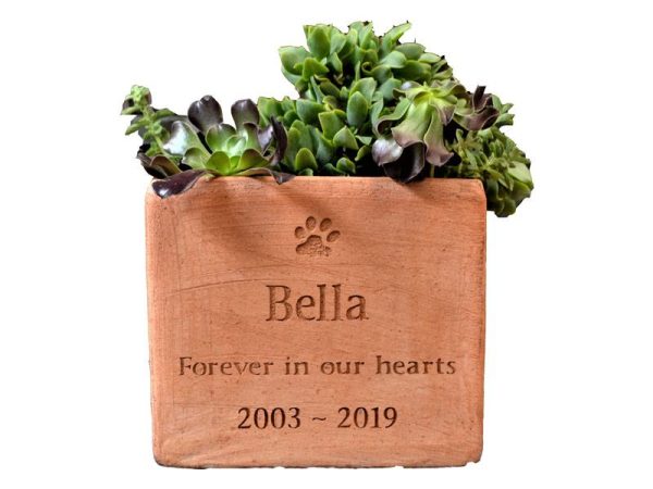 plant pot 1