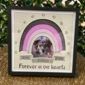 Forever Ours Handmade Personalized Pet Memorial Shadow Box 5