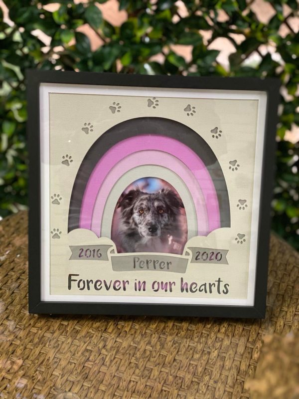 Forever Ours Handmade Personalized Pet Memorial Shadow Box 5