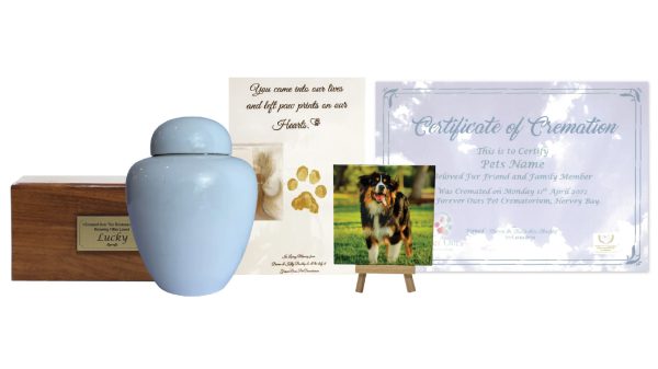 Forever Ours Classic Package