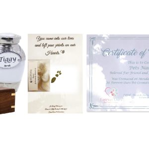 Forever Ours Pocket Pet Package
