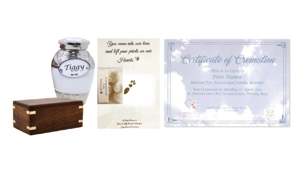 Forever Ours Pocket Pet Package