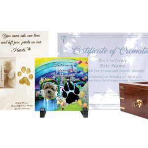 Forever Ours Premium Package