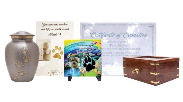 Forever Ours Premium Package